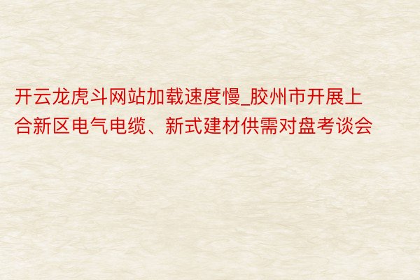 开云龙虎斗网站加载速度慢_胶州市开展上合新区电气电缆、新式建材供需对盘考谈会